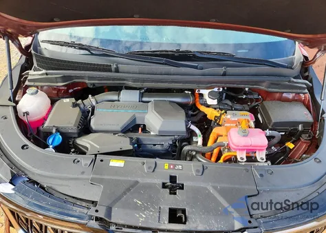 2025 Kia Carnival Ex z USA, uszkodzony, nr VIN KNDNC5KA5S6034452